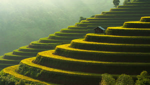Natural Landscapes. - Artbox Printers