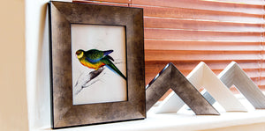 Serif Frames