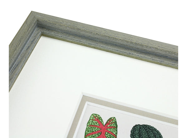 13mm 'Lily' Grey Lime Wash
