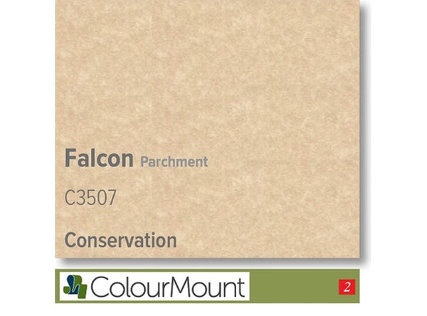 FALCON  - Colourmount Conservation Parchment