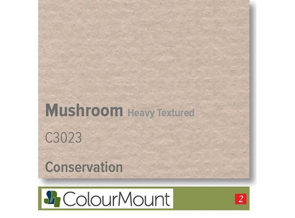 MUSHROOM  - Colourmount Conservation Heavy Textured