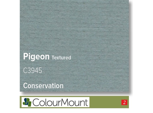 PIGEON   - Colourmount Conservation Textured