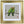 Load image into Gallery viewer, 38mm 'Adlon' Gold
