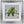 Load image into Gallery viewer, 38mm 'Adlon' Silver
