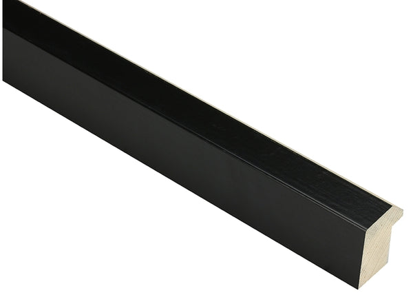 30mm 'Pimlico' Black & Gold