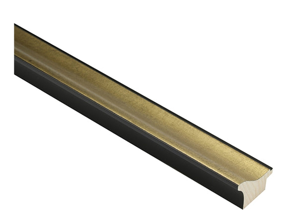 41mm 'Sorrento' Gold Black back