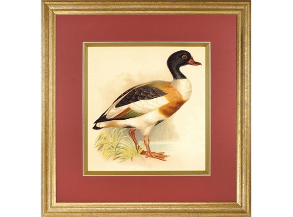 36mm 'Veneto' Oro FSC Mix 70%