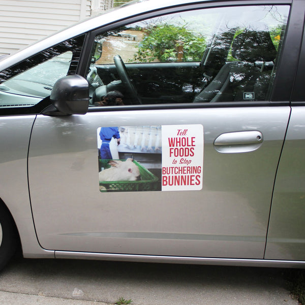 Car Door Decals - Artbox Printers