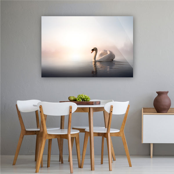 The Beautiful Swan