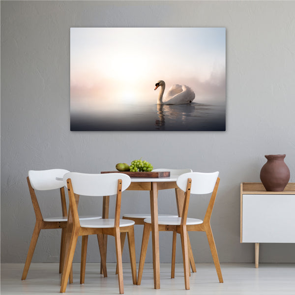 The Beautiful Swan