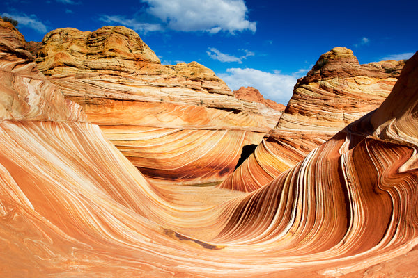 The American Dunes