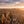 Load image into Gallery viewer, New York Sunset
