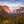 Load image into Gallery viewer, The Great Yosemite
