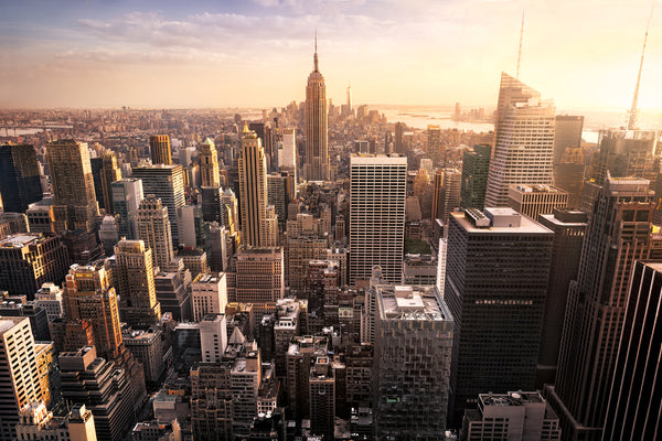 The Empire State Skyline