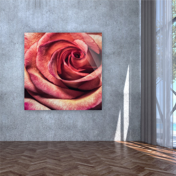The Red Rose