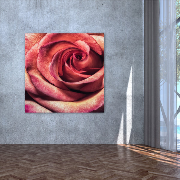 The Red Rose