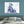 Load image into Gallery viewer, The Polar Bears
