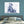 Load image into Gallery viewer, The Polar Bears

