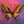 Load image into Gallery viewer, Butterfly of Colour

