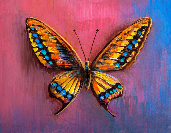 Butterfly of Colour