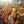 Load image into Gallery viewer, Autumn Highway
