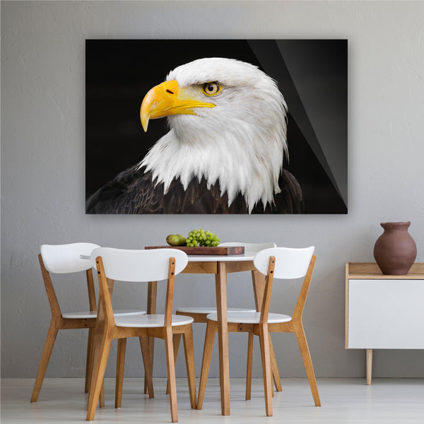 American Eagle