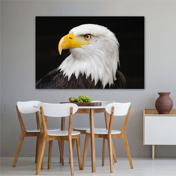 American Eagle