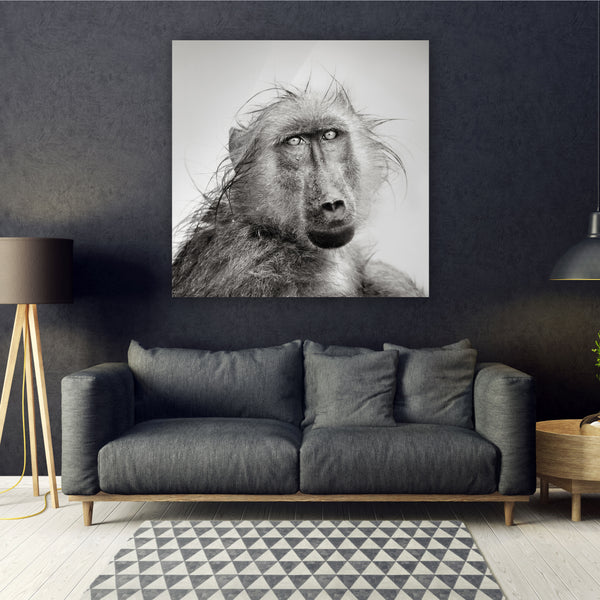 Japanese Monkey