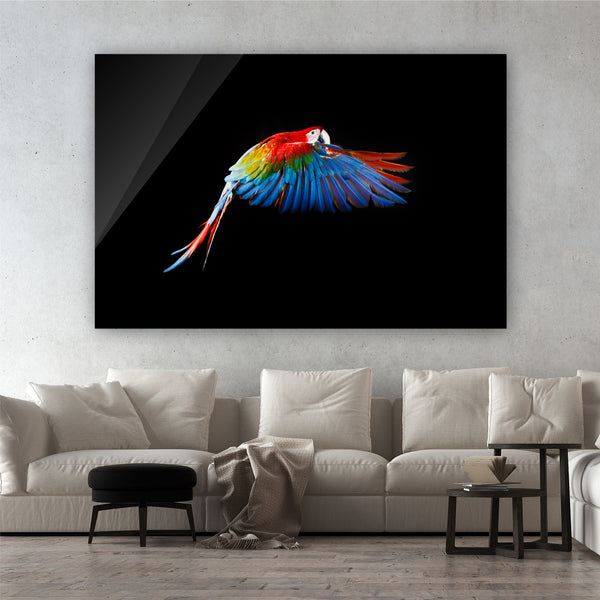 Flying Parrot