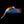 Load image into Gallery viewer, Flying Parrot
