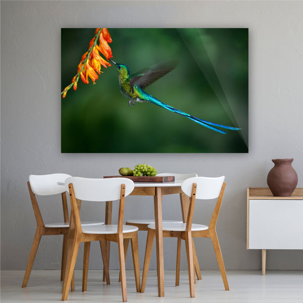 The Hummingbird