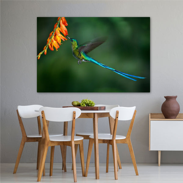 The Hummingbird