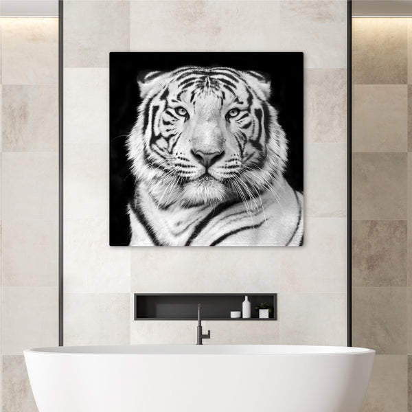 The Snow Tiger