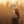Load image into Gallery viewer, Owl at Sunset
