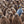 Load image into Gallery viewer, Antarctic Penguins

