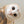 Load image into Gallery viewer, The Curious Owl
