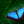 Load image into Gallery viewer, Exotic Butterfly
