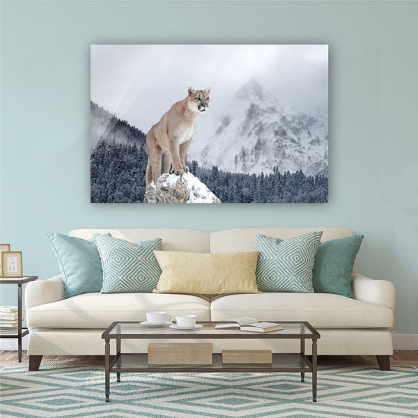 The Mountain Cougar