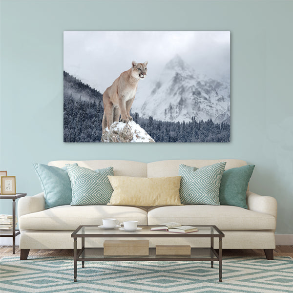 The Mountain Cougar