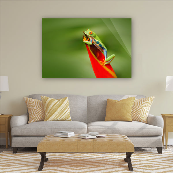Exotic Frog