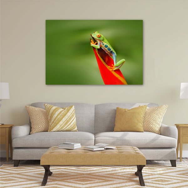 Exotic Frog