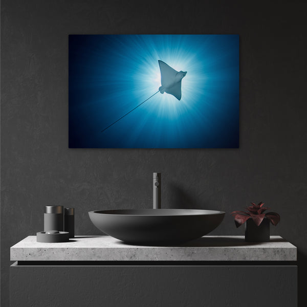 The Blue Stingray