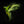 Load image into Gallery viewer, Green Parrot Powder
