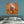 Load image into Gallery viewer, Autumn Owl
