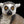 Load image into Gallery viewer, Madagascar Lemur
