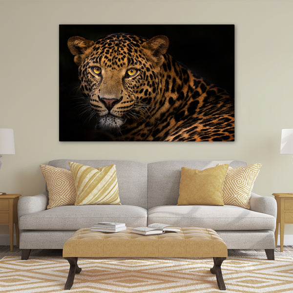 Leopard in Africa