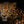 Load image into Gallery viewer, Leopard in Africa
