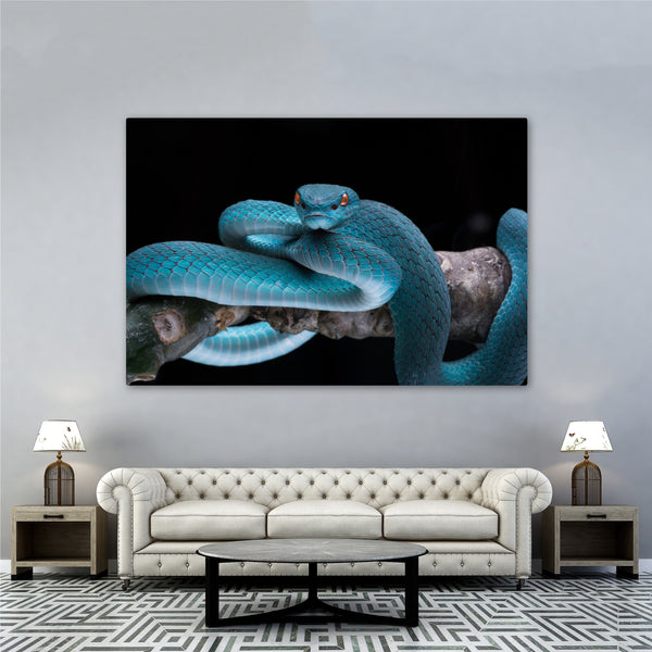 The Snake in Blue