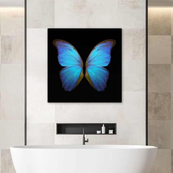 Aqua Butterfly