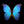 Load image into Gallery viewer, Aqua Butterfly

